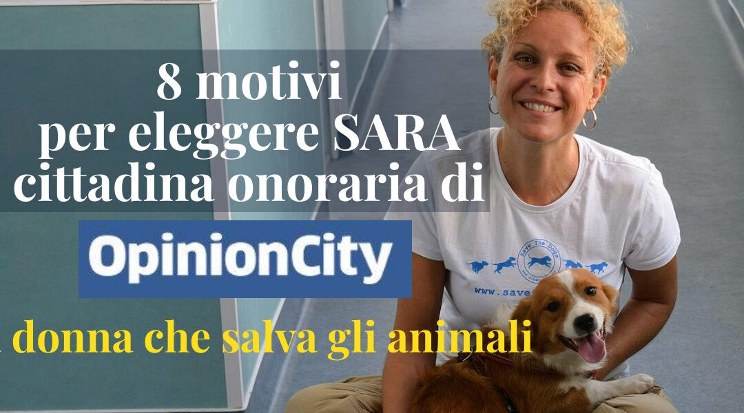 Sara Turetta - Save the dogs