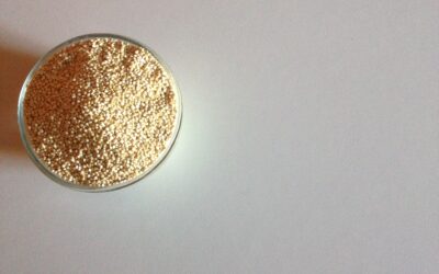 Assaggiamo per la prima volta insieme la Quinoa!