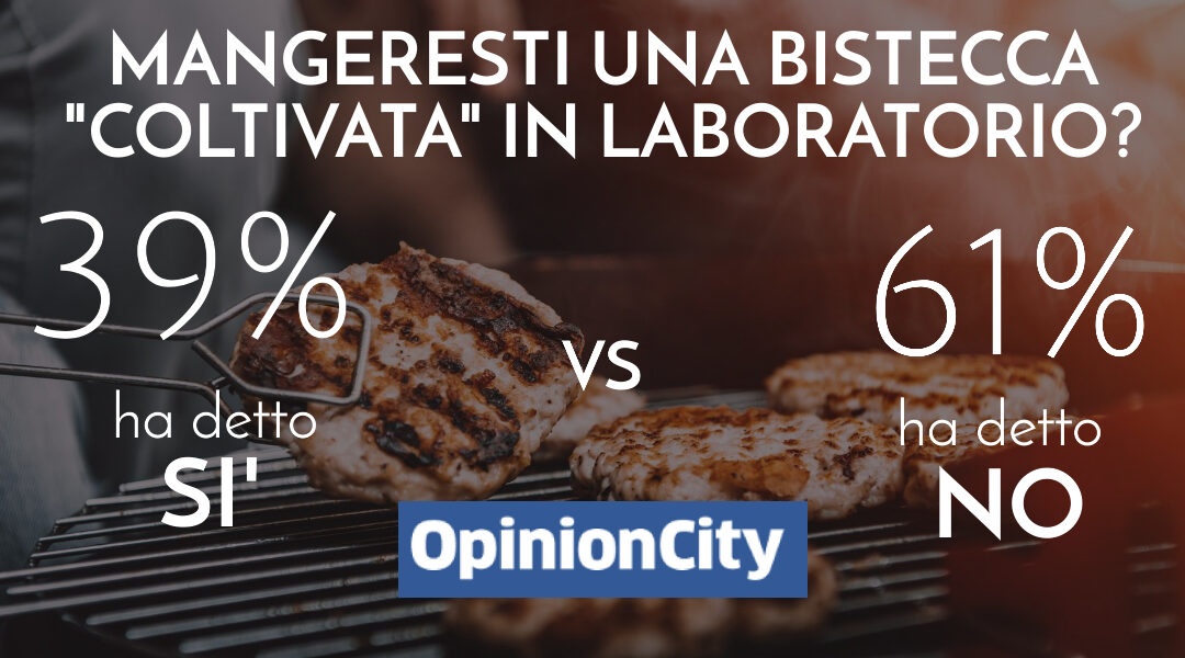 Mangeresti una bistecca “coltivata” in laboratorio? Ecco i risultati dell’inchiesta